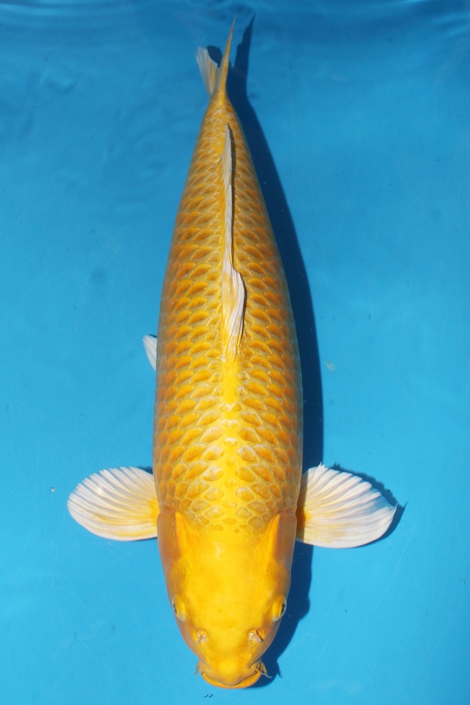 345005 (副本) (副本) (副本) (副本) (副本) (副本) (副本) (副本) (副本) (副本) (副本) (副本) (副本) (副本) (副本) (副本) (副本) (副本) (副本) (副本) (副本) (副本)