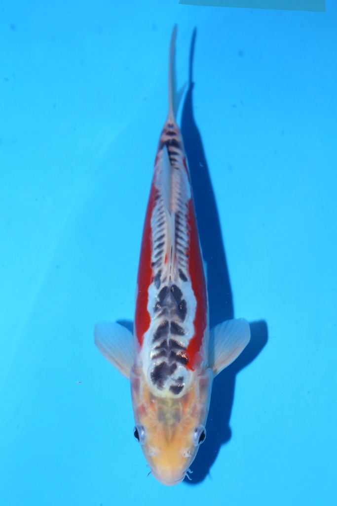 348050 (副本) (副本) (副本) (副本) (副本) (副本) (副本) (副本) (副本) (副本) (副本) (副本) (副本) (副本) (副本) (副本) (副本) (副本) (副本) (副本) (副本) (副本) (副本) (副本) (副本) (副本) (副本) (副本) (副本) (副本) (副本) (副本) (副本) (副本) (副本) (副本) (副本) (副本) (副本) (副本) (副本) (副本) (副本) (副本) (副本) (副本) (副本) (副本) (副本) (副本)