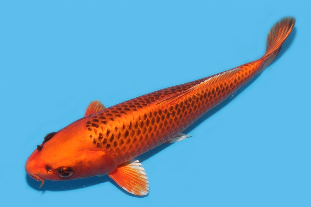 340100
