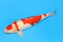 342003.JPG