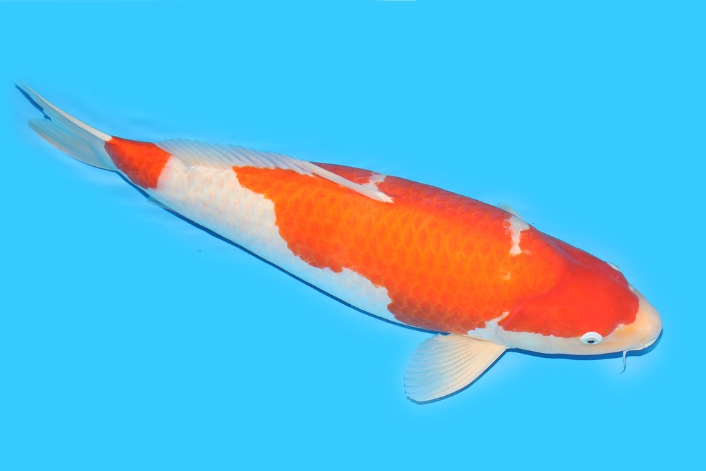 342013.JPG