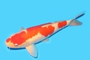 342026.JPG