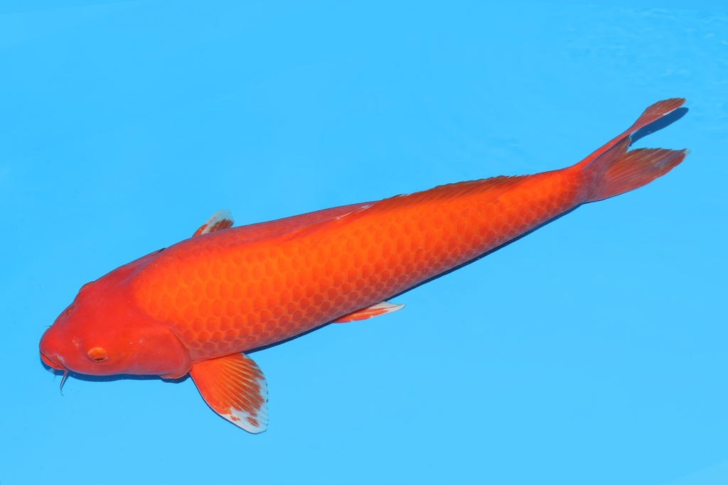 342039.JPG
