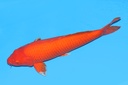 342039.JPG
