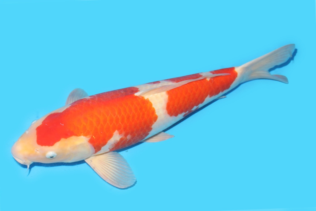 342043.JPG