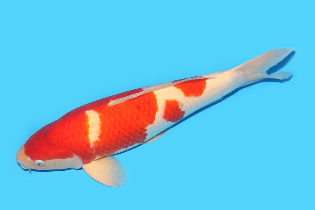 342058.JPG