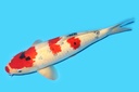 342065.JPG