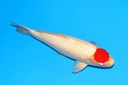 342007.JPG