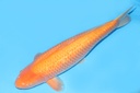 343023.jpg
