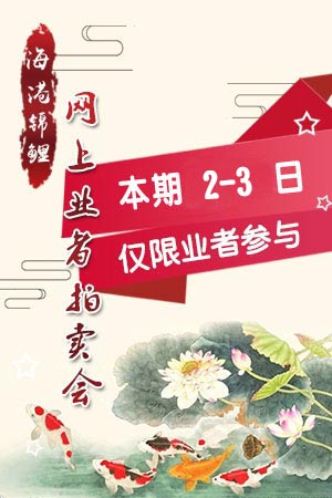 YZ74013 尾形产 Ogata（附视频）