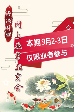YZ72010 清十郎产（附视频）