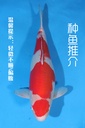 346050