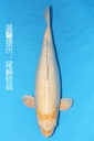 347016 (副本)