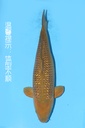 347030 (副本)