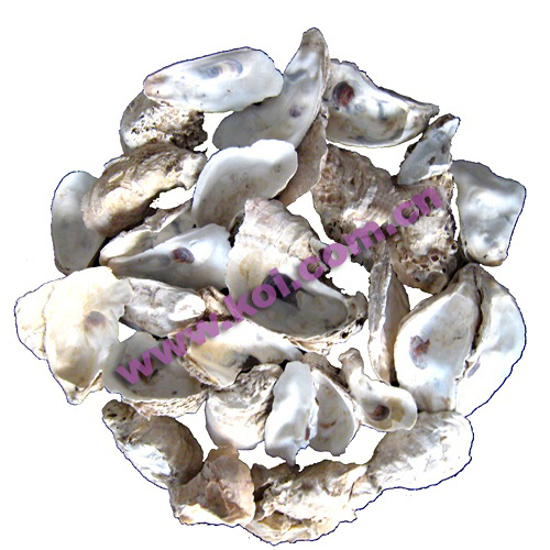 卡奇贝-蚝壳7kg/包