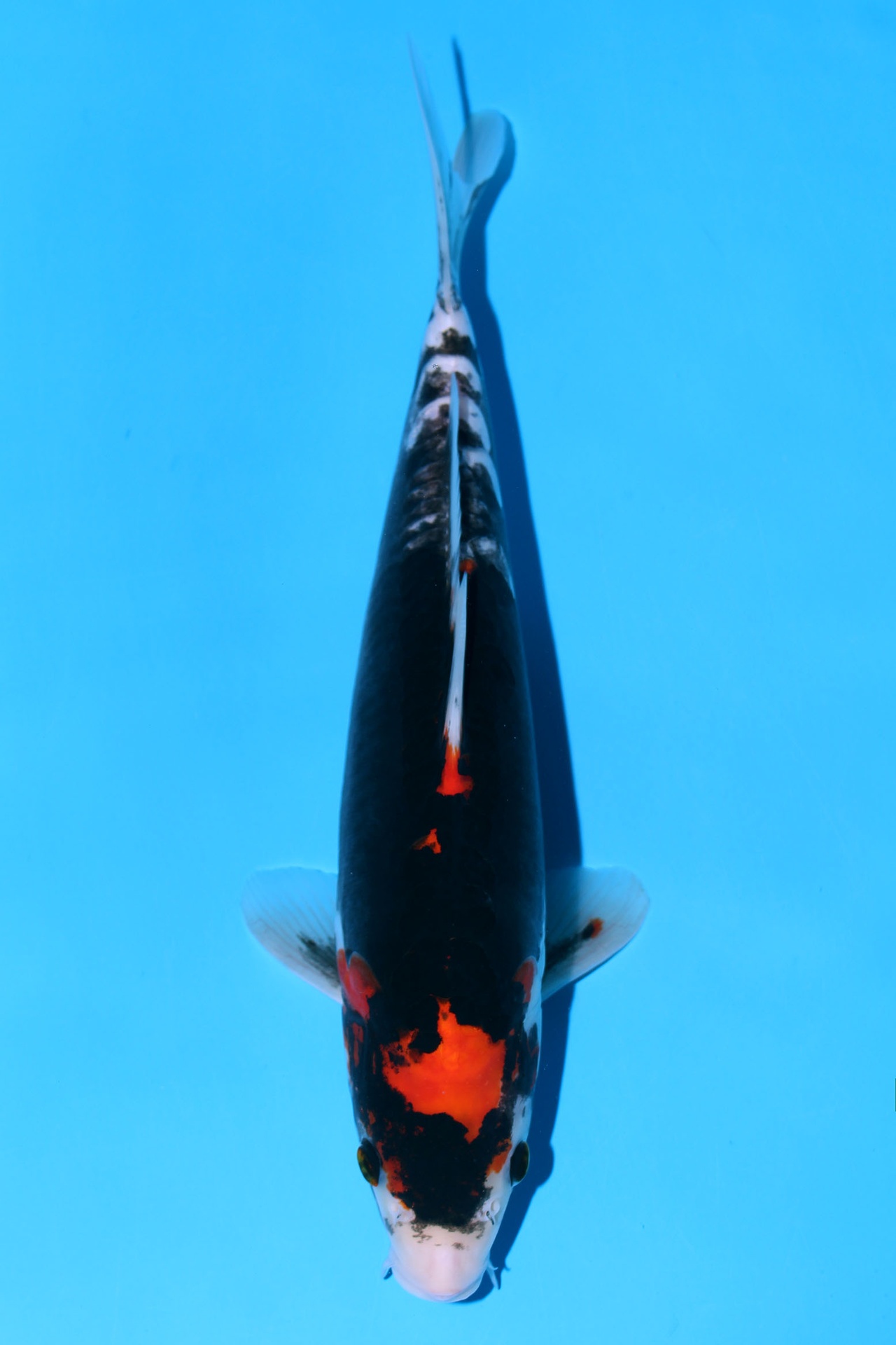 349080