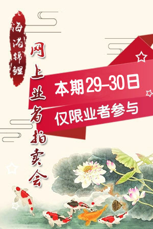 YZ78033（附视频）